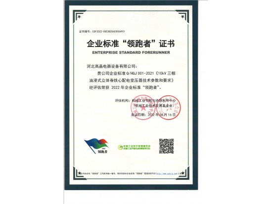企業(yè)標(biāo)準(zhǔn)領(lǐng)跑者證書(shū)