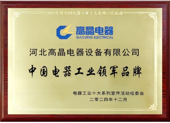 中國(guó)電器工業(yè)領(lǐng)軍品牌